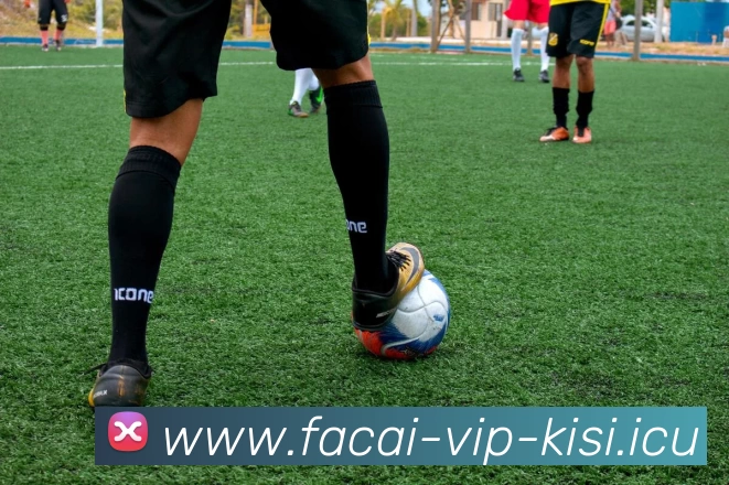 华体会体育注册平台生态图