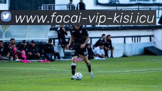 华体会体育注册全站App